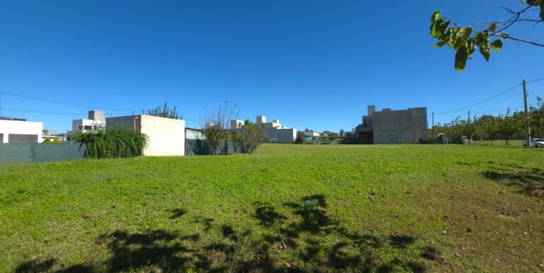 WhatsApp Image 2025-06-04 at 08.35.42