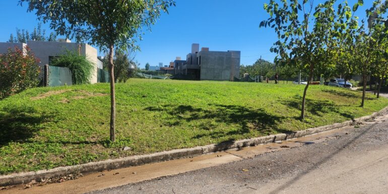 WhatsApp Image 2025-06-04 at 08.35.44 (2)