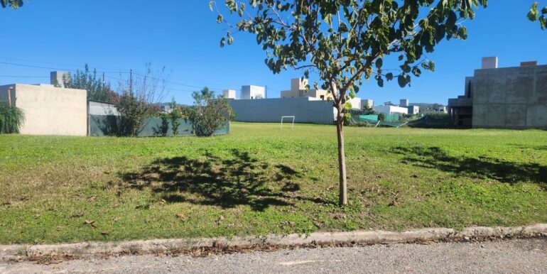 WhatsApp Image 2025-06-04 at 08.35.45 (2)