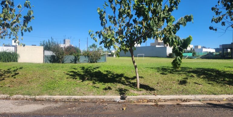 WhatsApp Image 2025-06-04 at 08.35.45