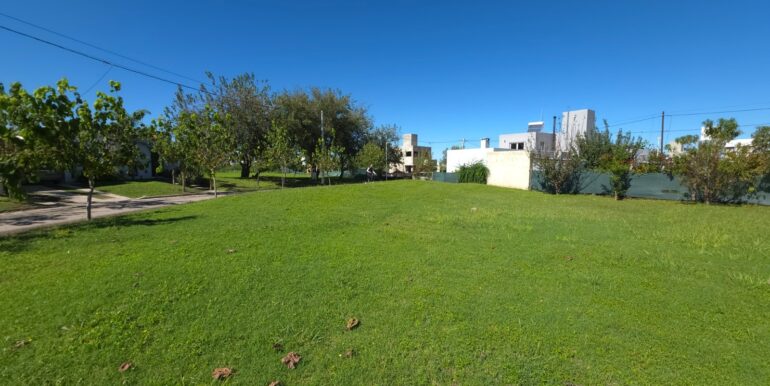 WhatsApp Image 2025-06-04 at 08.35.46 (2)