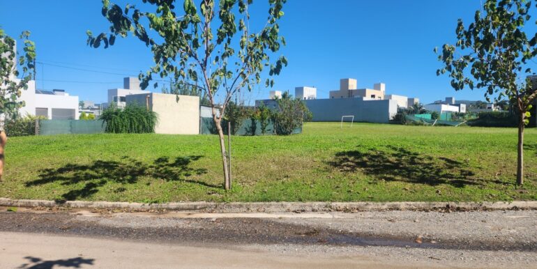 WhatsApp Image 2025-06-04 at 08.35.47