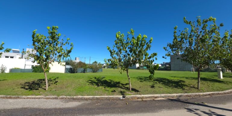 WhatsApp Image 2025-06-04 at 08.35.48 (2)