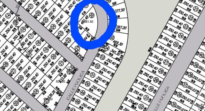 WhatsApp Image 2025-06-04 at 08.35.49